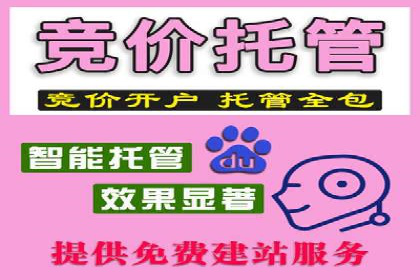 竞价代运营策略调整：一则广告投放的优化过程